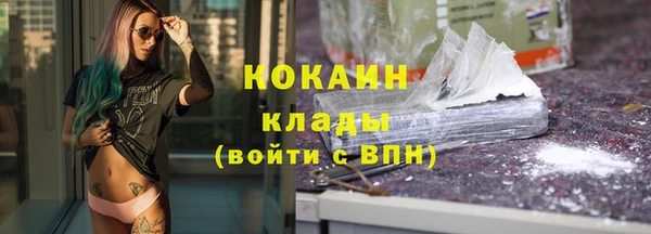 гашик Богданович