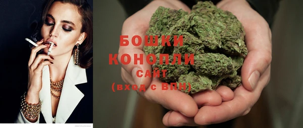 гашик Богданович
