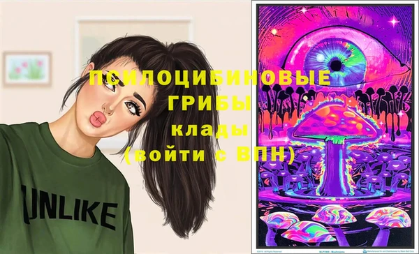 гашик Богданович