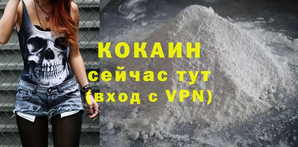 гашик Богданович