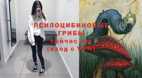 гашик Богданович