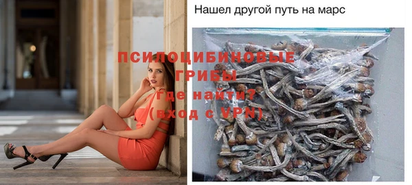 дмт Осташков