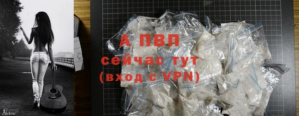 гашик Богданович