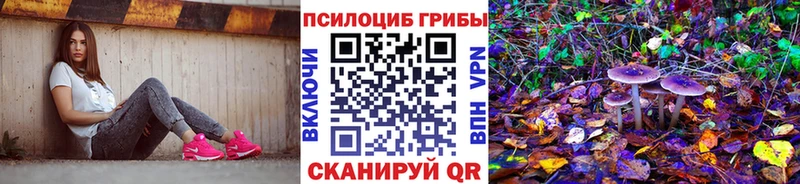 KRAKEN онион  Будённовск  Псилоцибиновые грибы Psilocybe  купить наркотик 