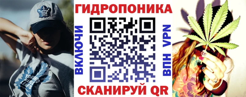 Шишки марихуана план  купить закладку  Будённовск 
